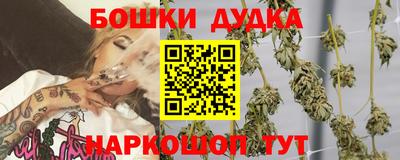 сатива Обнинск